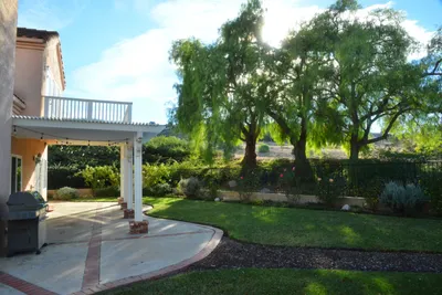 DSC_7374 (Large).JPG